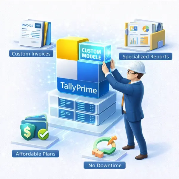 Tally Customisation Services