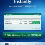 Show Total Sales as on Date in Entries