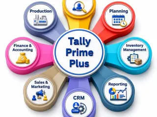 Tally Audit Automation Services