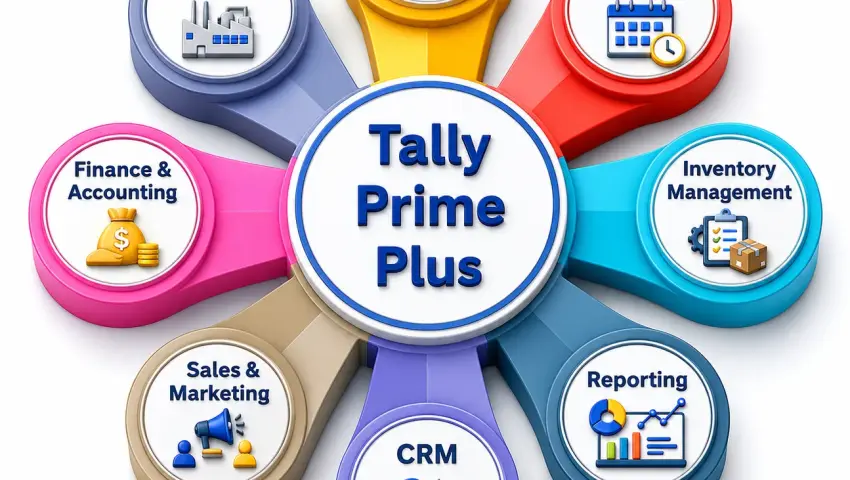 Tally Audit Automation Services